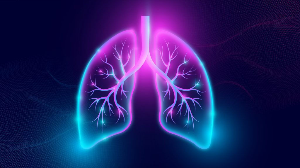Representation of human lungs.