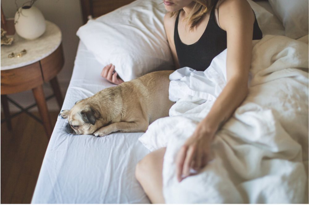 Woman laying in bed with dog by her side.